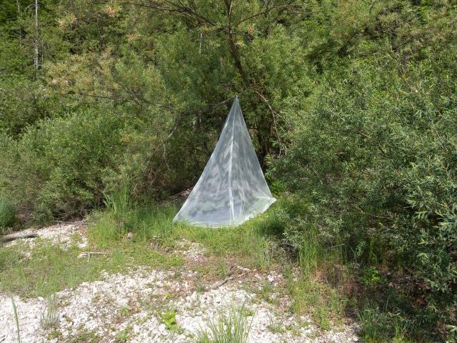 Brettschneider impregnated mosquito net expedition natural pyramid ethereal mosquito net mosquito repellent mosquito net