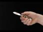 Preview: Böker Manufaktur Solingen Sports Knife Staghorn Pocket Knife Hunting Knife Folding Knife